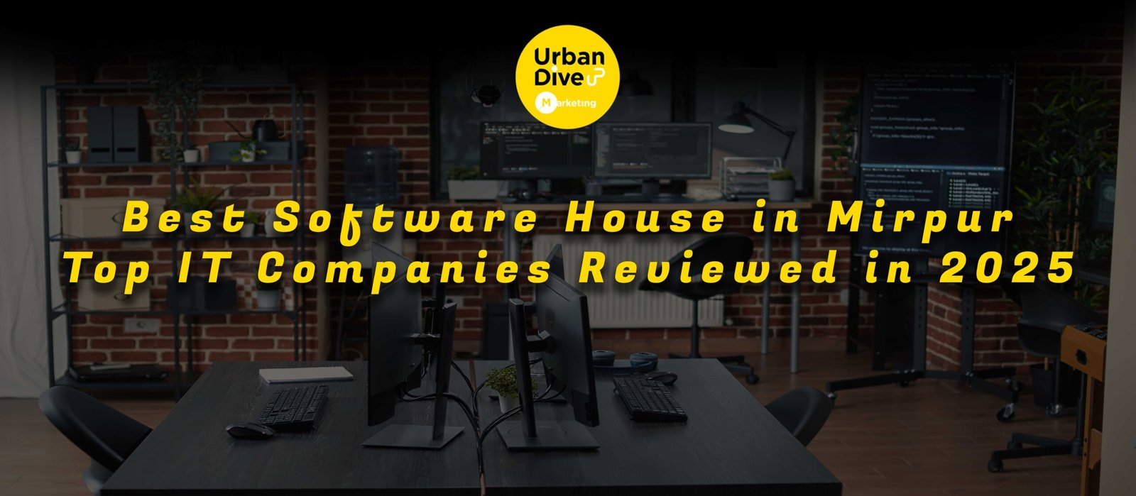 Software companies in Mirpur
