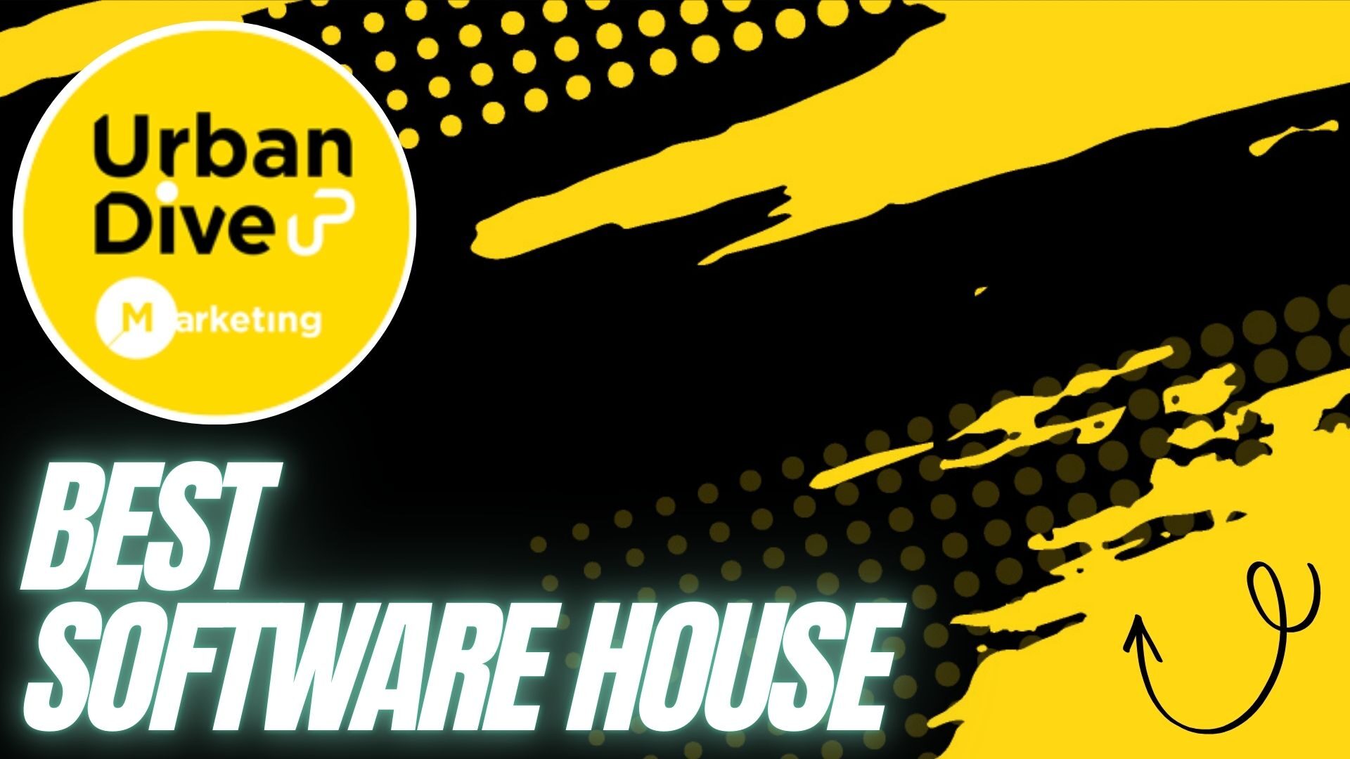 Best Software House in Mirpur