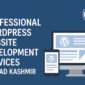 WordPress Website Development