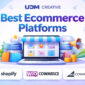 best ecommerce platform for small business